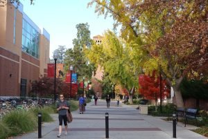 Beasiswa di California State University, Sacramento: Peluang Pendidikan di Universitas Terbaik