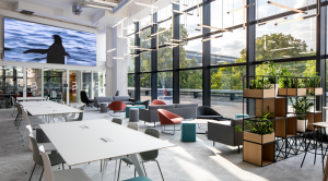 Beasiswa Oncampus Paris 2025: Syarat, Cara Daftar, dan Keuntungannya