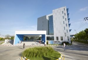 Beasiswa Stamford International University: Syarat, Manfaat, dan Cara Daftar