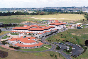 Beasiswa Massey University 2025: Syarat, Cara Daftar, dan Deadline