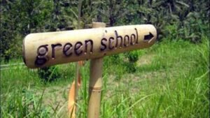 Beasiswa Lingkungan: Investasi Masa Depan untuk Bumi yang Lebih Baik