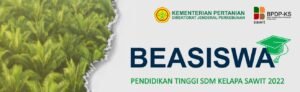 Beasiswa Pendidikan Tinggi: Investasi Masa Depan Bangsa dan Peluang Meraih Mimpi