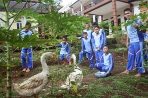 Sekolah Alam Terbaik: Membangun Generasi Cinta Lingkungan dan Berkarakter Kuat
