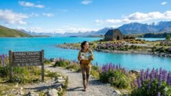 Panduan Menelusuri Keindahan Danau Tekapo Yang Memiliki Warna Air Biru Unik
